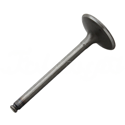 INTAKE VALVE A-EB01-153A forklift replacement part