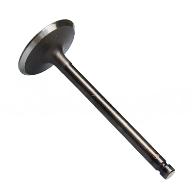 INTAKE VALVE A-EB01-302A forklift replacement part