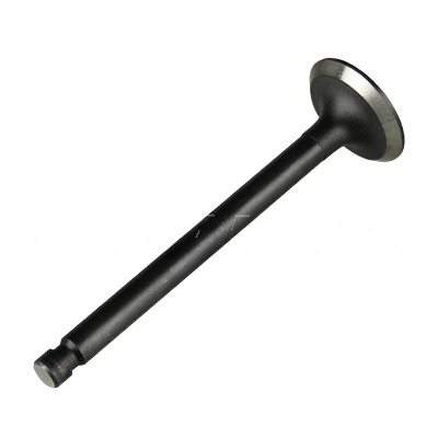 EXHAUST VALVE A-EB02-053A forklift replacement part