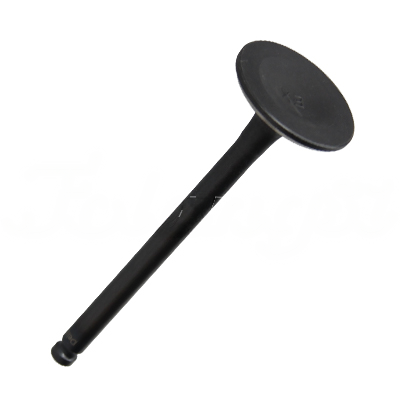 EXHAUST VALVE A-EB02-169A forklift replacement part