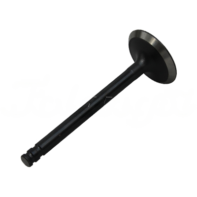 INTAKE VALVE A-EB01-053A forklift replacement part