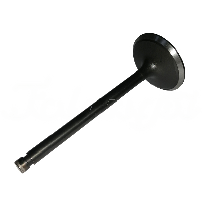 INTAKE VALVE A-EB01-105A forklift replacement part