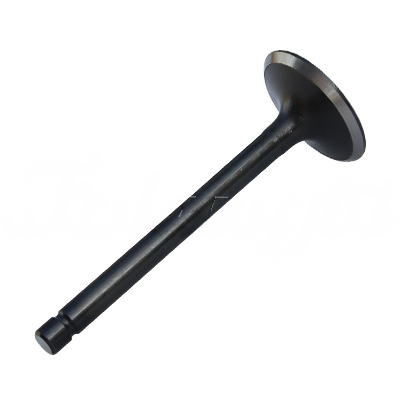 INTAKE VALVE A-EB01-265A forklift replacement part