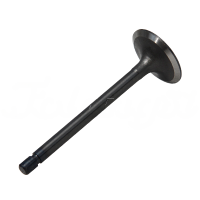 INTAKE VALVE A-EB01-268A forklift replacement part