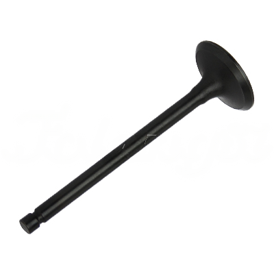 INTAKE VALVE A-EB01-276A forklift replacement part