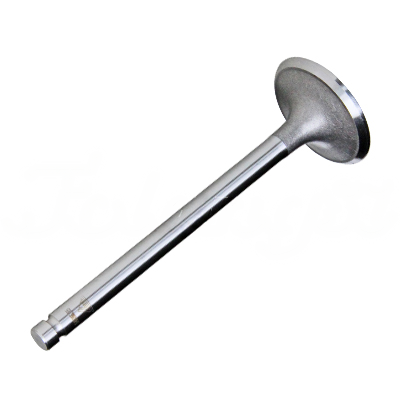 INTAKE VALVE A-EB01-441A forklift replacement part