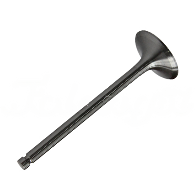 INTAKE VALVE A-EB01-443A forklift replacement part