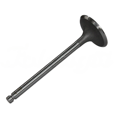 INTAKE VALVE A-EB01-444A forklift replacement part