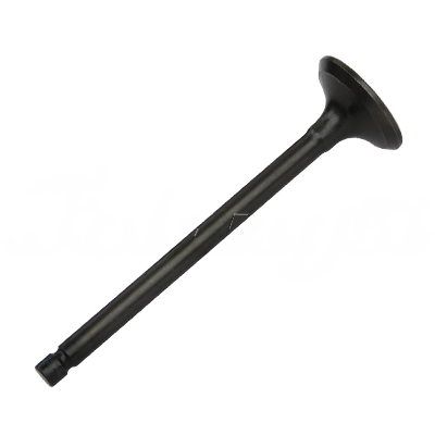 EXHAUST VALVE A-EB02-276A forklift replacement part