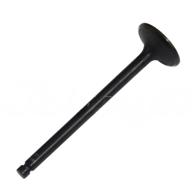 EXHAUST VALVE A-EB02-447A forklift replacement part