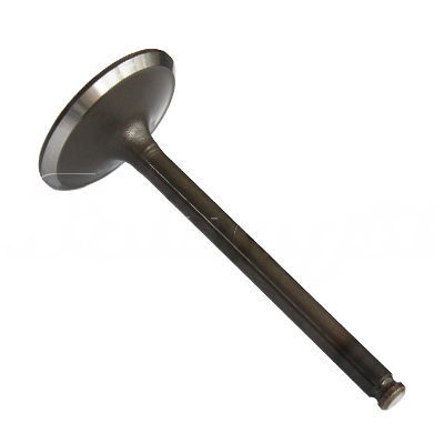 INTAKE VALVE A-EB01-154A forklift replacement part