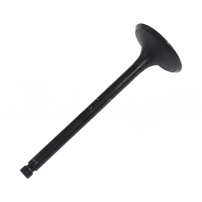 INTAKE VALVE A-EB01-447A forklift replacement part