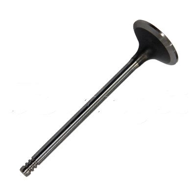 INTAKE VALVE A-EB01-448A forklift replacement part
