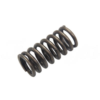VALVE SPRING(OUTSIDE) A-EB09-443A forklift replacement part