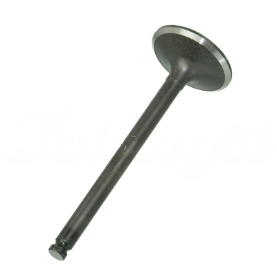 INTAKE VALVE A-EB01-001A forklift replacement part