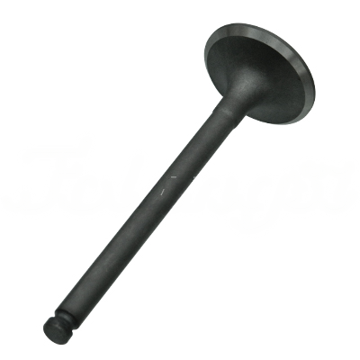 INTAKE VALVE A-EB01-002A forklift replacement part