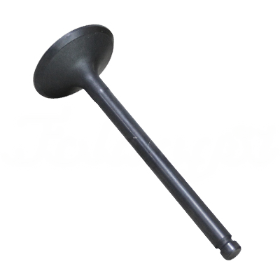 INTAKE VALVE A-EB01-003A forklift replacement part