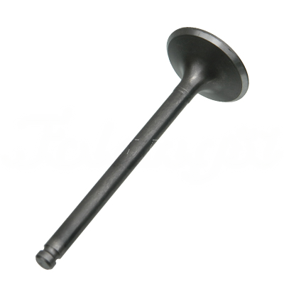 INTAKE VALVE A-EB01-006A forklift replacement part