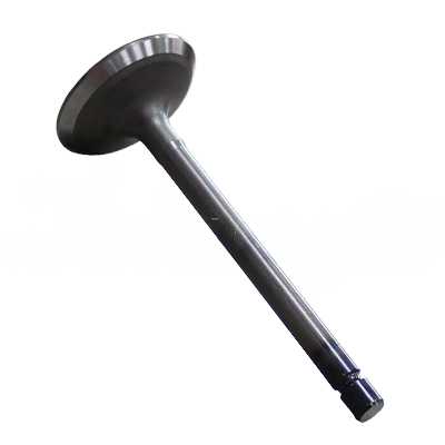INTAKE VALVE A-EB01-008A forklift replacement part