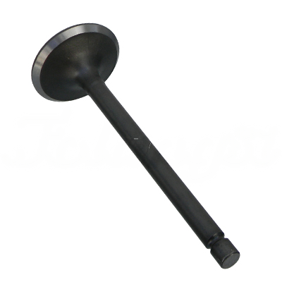 INTAKE VALVE A-EB01-009A forklift replacement part