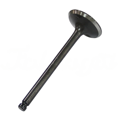 INTAKE VALVE A-EB01-011A forklift replacement part