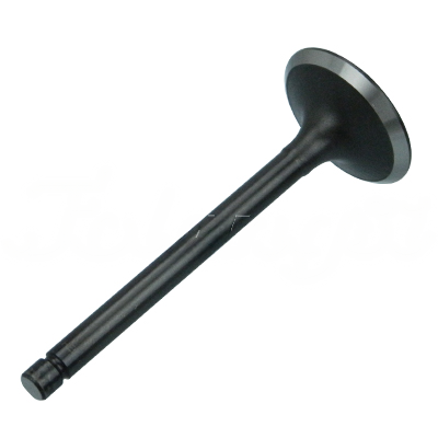 INTAKE VALVE A-EB01-051A forklift replacement part