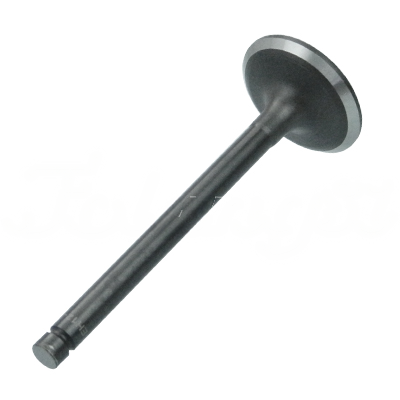 INTAKE VALVE A-EB01-056A forklift replacement part