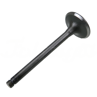 INTAKE VALVE A-EB01-057A forklift replacement part