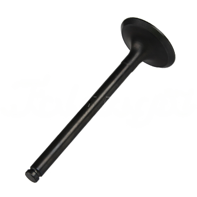 INTAKE VALVE A-EB01-058A forklift replacement part