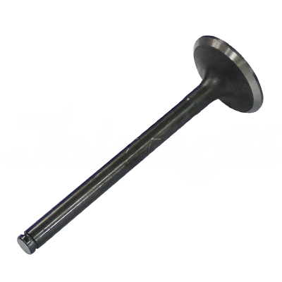 INTAKE VALVE A-EB01-060A forklift replacement part