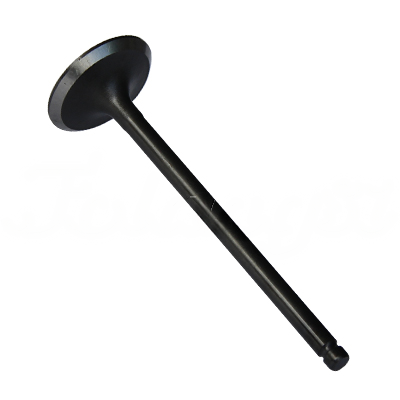 INTAKE VALVE A-EB01-061A forklift replacement part