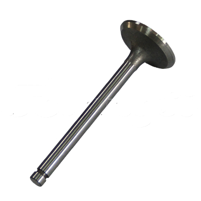 INTAKE VALVE A-EB01-101A forklift replacement part
