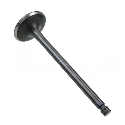 INTAKE VALVE A-EB01-102A forklift replacement part