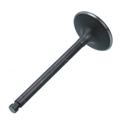 INTAKE VALVE A-EB01-104A forklift replacement part