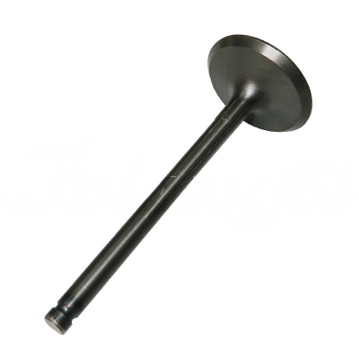 INTAKE VALVE A-EB01-106A forklift replacement part