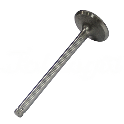 INTAKE VALVE A-EB01-107A forklift replacement part