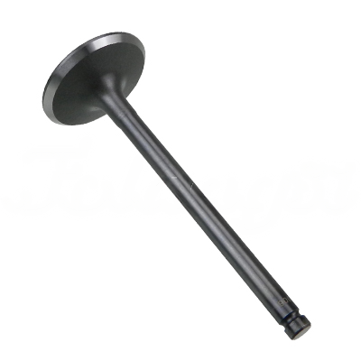 INTAKE VALVE A-EB01-109A forklift replacement part