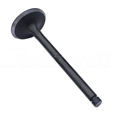 INTAKE VALVE A-EB01-155A forklift replacement part
