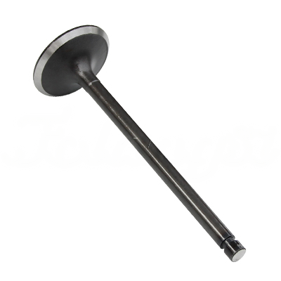 INTAKE VALVE A-EB01-156A forklift replacement part