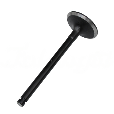 INTAKE VALVE A-EB01-159A forklift replacement part