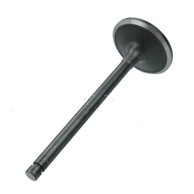 INTAKE VALVE A-EB01-160A forklift replacement part