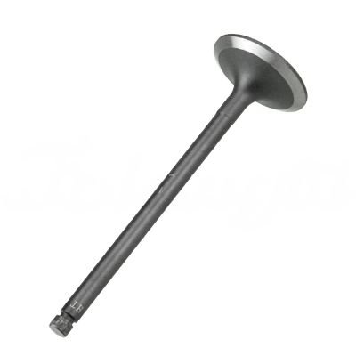 INTAKE VALVE A-EB01-161A forklift replacement part