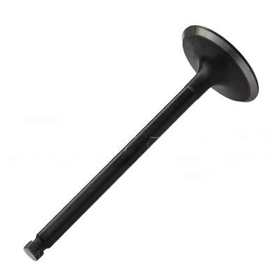 INTAKE VALVE A-EB01-162A forklift replacement part