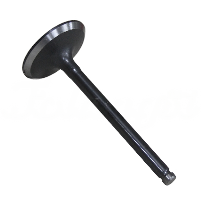 INTAKE VALVE A-EB01-164A forklift replacement part