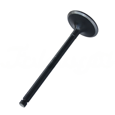 INTAKE VALVE A-EB01-166A forklift replacement part