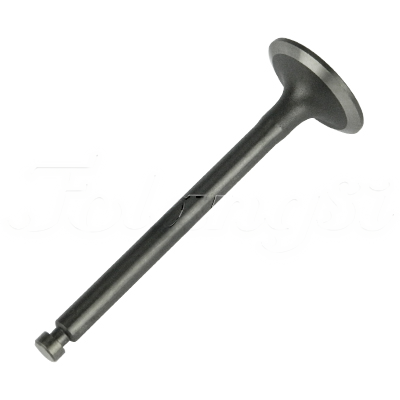 INTAKE VALVE A-EB01-201A forklift replacement part