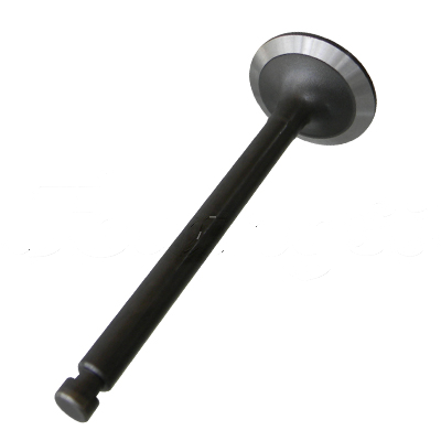 INTAKE VALVE A-EB01-202A forklift replacement part