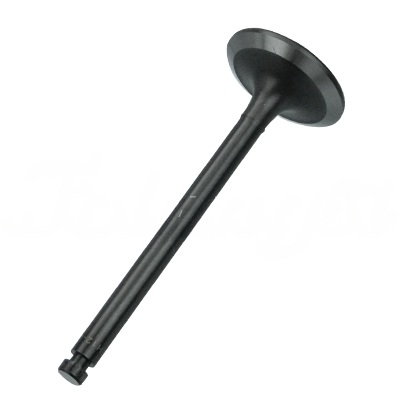 INTAKE VALVE A-EB01-203A forklift replacement part