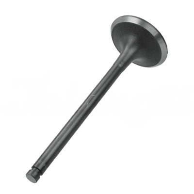 INTAKE VALVE A-EB01-204A forklift replacement part
