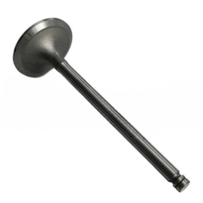 INTAKE VALVE A-EB01-206A forklift replacement part